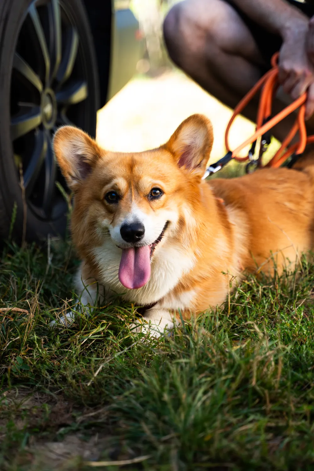 Teresa & Arthur mit Atari